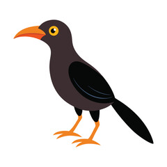 vector illustration of a bird