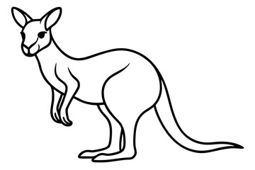 Minimalist Kangaroo Line Art Vector on White Background