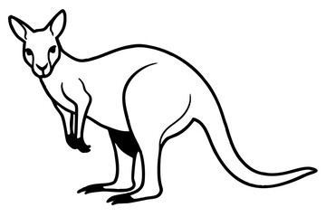 Minimalist Kangaroo Line Art Vector on White Background