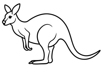 Minimalist Kangaroo Line Art Vector on White Background