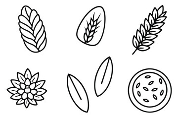 Oat Ear and Grain Nurturing Soil and Crop Harmony