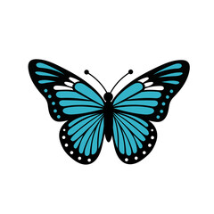 Obraz premium Bright decorative Monarch butterfly in blue color. Insect in trendy flat style. Isolated vector illustration on white background.