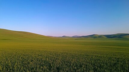 Fototapeta premium Rolling Green Hills Under a Clear Blue Sky