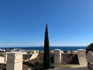 Tall cypress tree with scenic coastal view in Marbella, Spain. Clear blue sky and Mediterranean horizon in the background.