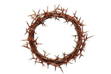 Fototapeta premium Crown of Thorns
