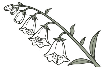 Elegant Foxglove Flower Vector Illustration for Botanical Design and Craft