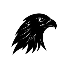 eagle head vector illustration