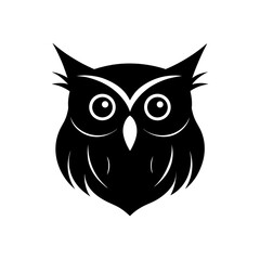 Obraz premium owl on white background