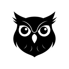 Obraz premium black and white owl with eyes