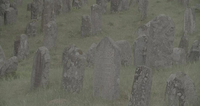 Old ancient Jewish cemetery in summer spring day. Druya, Belarus. green grass and many ancient stones. Headstone Headstones Tombstones jewish grave, clog2, clog, canon c70 c log 2