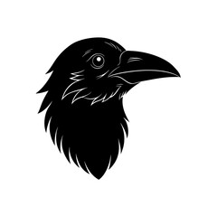 Obraz premium raven on a white background