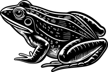 Discover a captivating collection of vector illustrations featuring reptiles and amphibians in stunning detail. The 