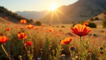 Fototapeta premium Sun-kissed wildflowers in a dry, rustic landscape, natural, earthy