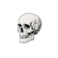 Skull emoji with thin black outline on plain bright white background no shadows, dark sticker