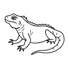 Outline Vector Illustration of Iguana for Tattoo or Coloring Book Designs