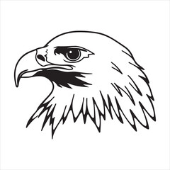 Golden Eagle Illustration for Bird of Prey and Mountain Wildlife Concepts