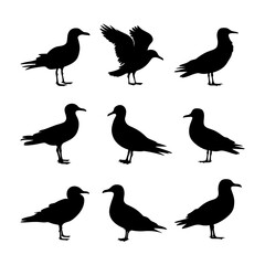 Seagull Silhouette Vector Bundle Black and White Seagull Clipart EPS Illustration
