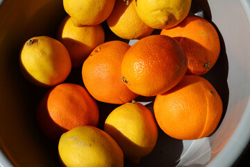 Oranges and lemons in a container.