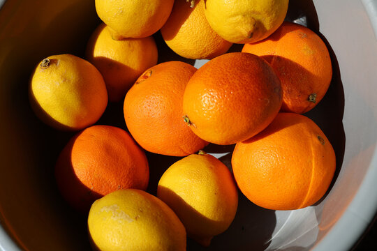 Oranges and lemons in a container.