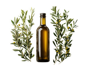 Harvesting olive extracting flavor kitchen nature isolated on transparent background, png