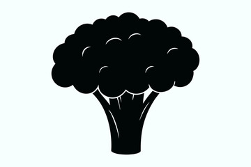 Explore a fresh and vibrant collection of 