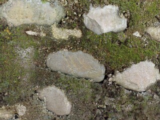 Old Stone Wall with Moss Growth. Close-up of aged stone wall covered with moss and dirt. Great for textures, backgrounds, or environmental-themed designs and illustrations