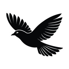 Obraz premium bird flight vector art silhouette