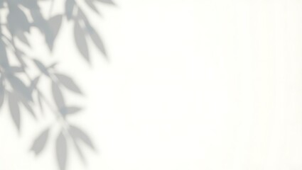Fototapeta premium Serene leaf shadows on a bright white background soft light minimalist nature backdrop peaceful