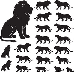 Lion silhouette collection of wild animal poses on white background