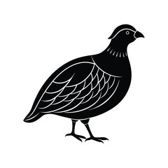 quail silhouette art