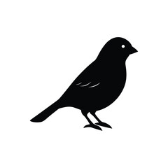 canary silhouette art