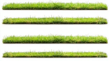 Fresh green grass growing in layers showcases natural texture and color for landscaping or garden design inspiration