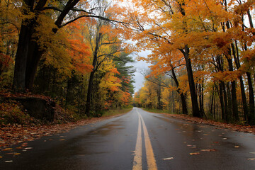 Obraz premium Scenic Open Road Through Autumn Forest of Orange Foliage