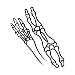  Wrist Bones Carpals Medical Icon