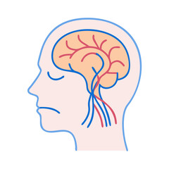 Innovative Cranial Nerves Design