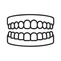  Model Teeth for Dental Use