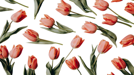 a seamless pattern with red tulips photo on a transparent background, PNG image, PNG file, Generative art.