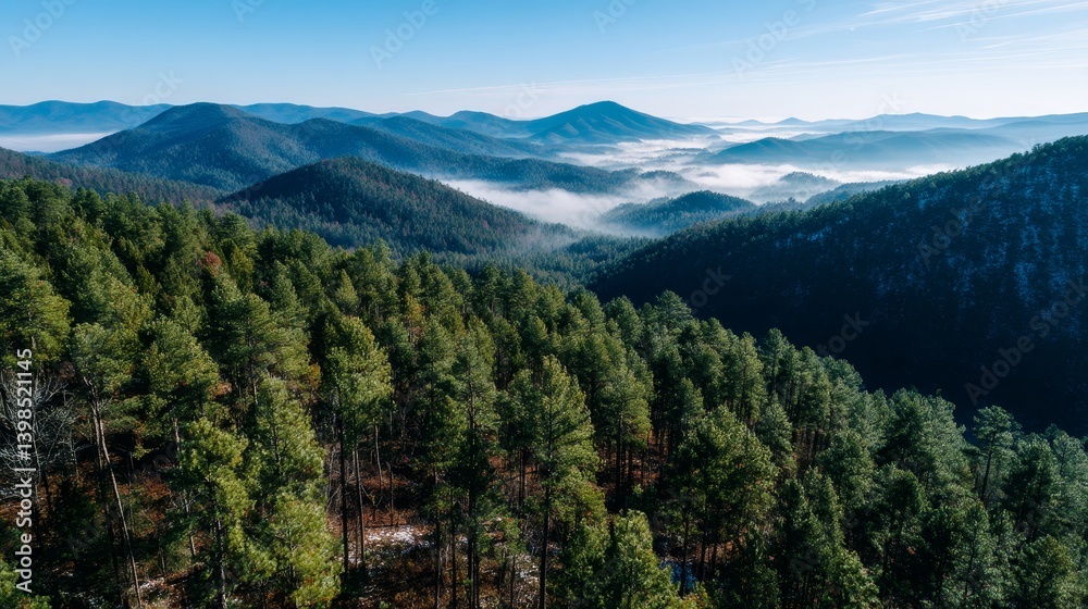 Poster endless pine trees stretch across valleys, enveloped in morning mist while a hawk soars gracefully, 