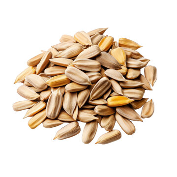 Pile of roasted sunflower seeds snack