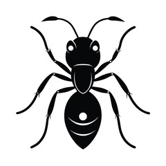 Clean Ant Head with Mandibles Drawing