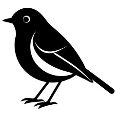 Animal Robin silhouette vector illustrator