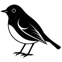 Animal Robin silhouette vector illustrator