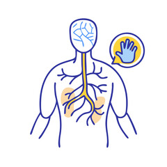  Peripheral Nerves Anatomy Vector