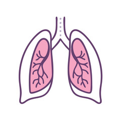  Detailed Pleura Anatomy