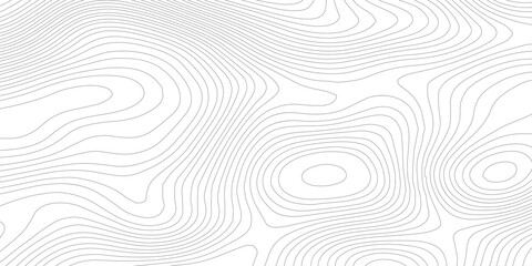Abstract topography a seamless flow of organic topographic map the concept of a conditional geography scheme and the terrain path topo contour map design.
