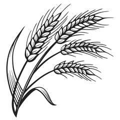 ears of wheat vector