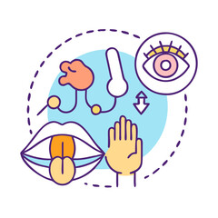  Detailed Sensory Receptors Anatomy