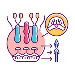  Innovative Sensory Receptors Anatomy Icon