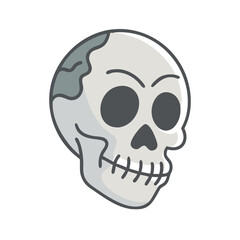  Detailed Skull Anatomy