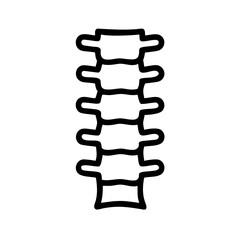  Spine Anatomy Icon Design